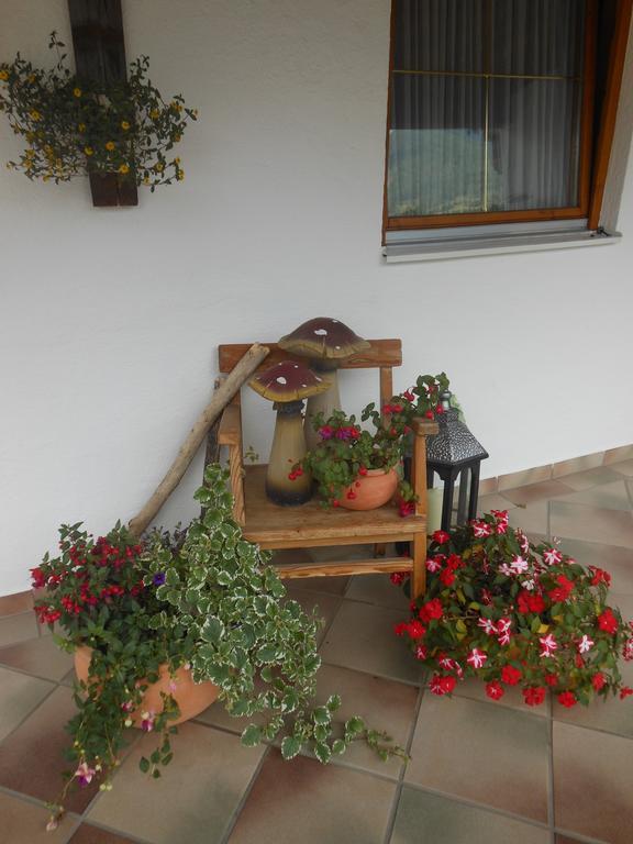 Apartmán Haus Rieder Pfarrwerfen Exteriér fotografie