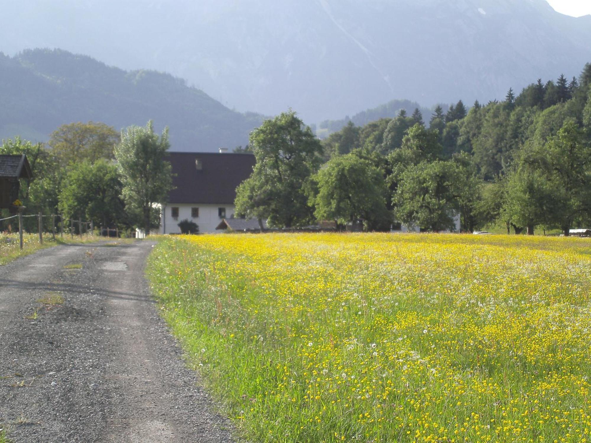 Apartmán Haus Rieder Pfarrwerfen Exteriér fotografie